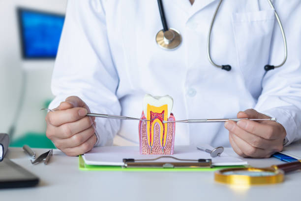 Best Emergency Root Canal Treatment in Stapleton, AL